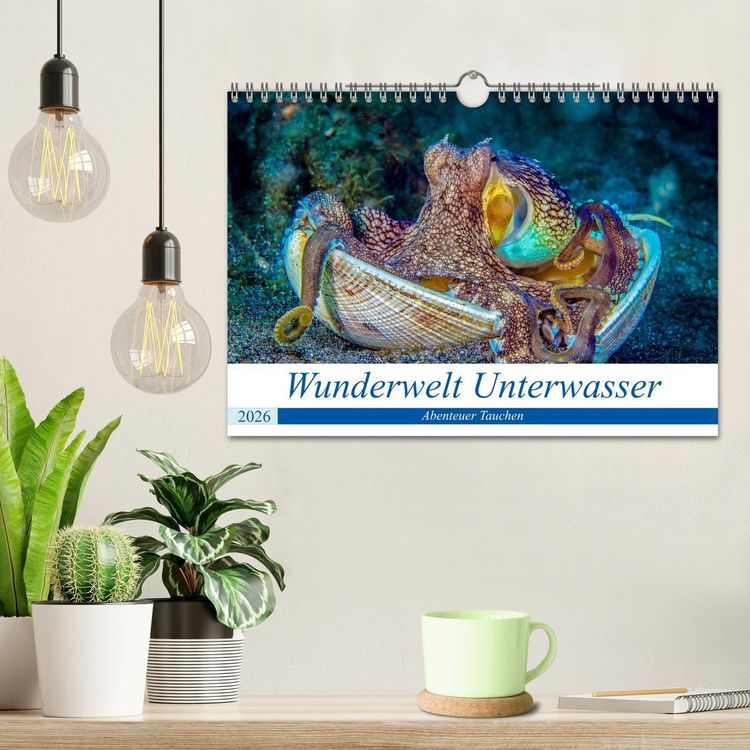 Produktbild: Wunderwelt Unterwasser (Wandkalender 2026 DIN A4 quer), CALVENDO Monatskalender