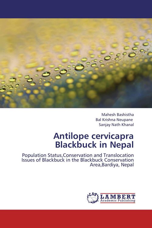 Produktbild: Antilope cervicapra Blackbuck in Nepal