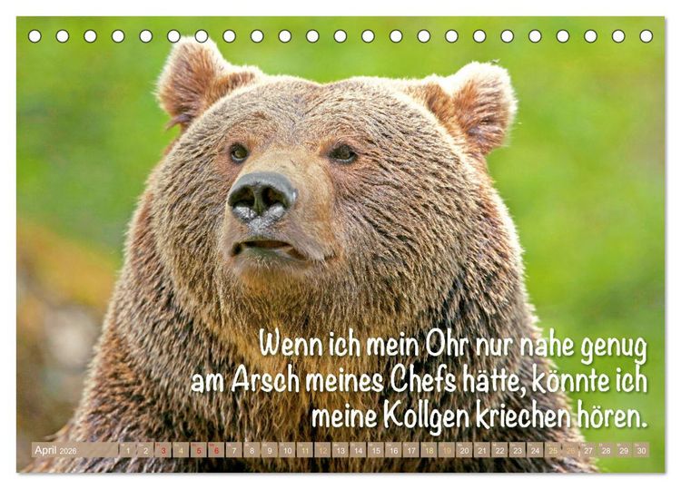 Produktbild: Spa&szlig; mit B&auml;ren: Edition lustige Tiere (Tischkalender 2026 DIN A5 quer), CALVENDO Monatskalender