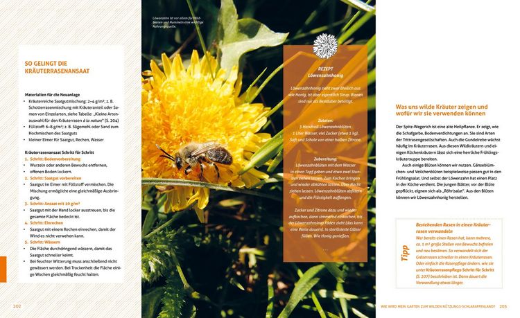 Produktbild: Wo die wilden N&uuml;tzlinge wohnen