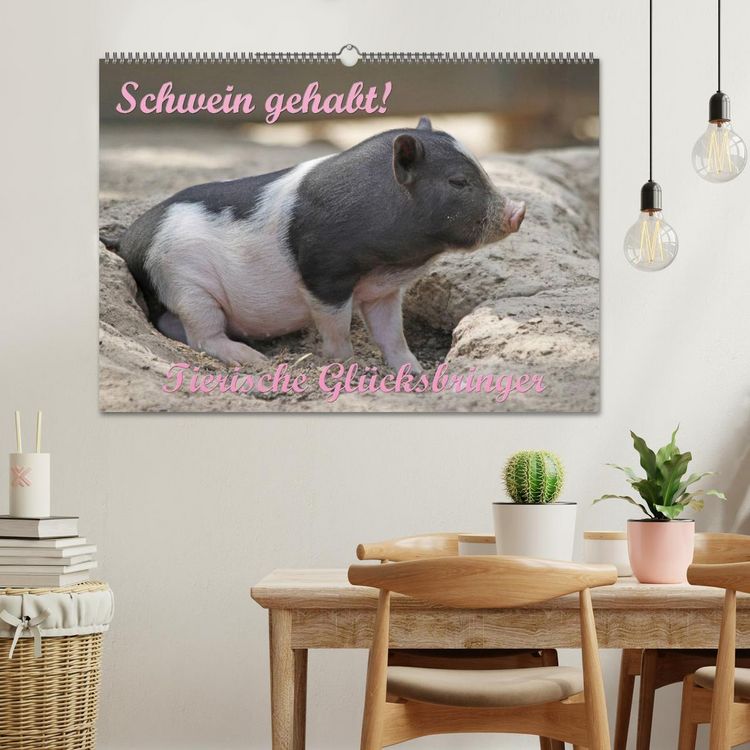 Produktbild: Schwein gehabt! (Wandkalender 2026 DIN A2 quer), CALVENDO Monatskalender