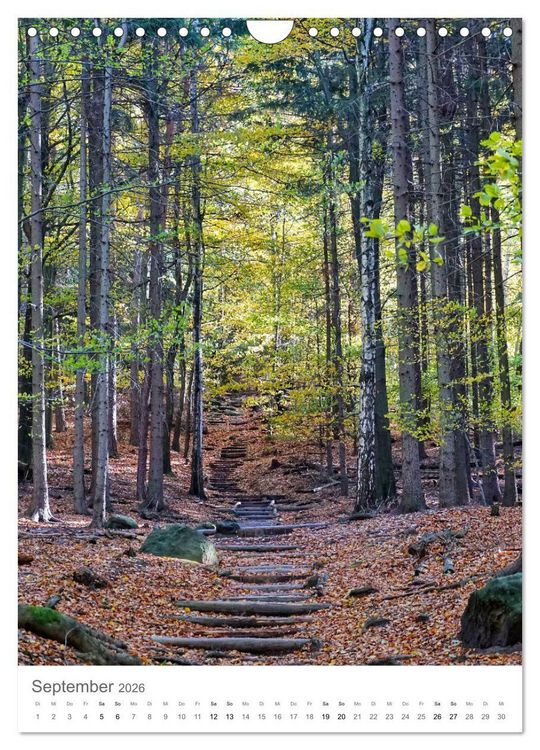 Produktbild: Wald - bezaubernde Landschaften (Wandkalender 2026 DIN A4 hoch), CALVENDO Monatskalender