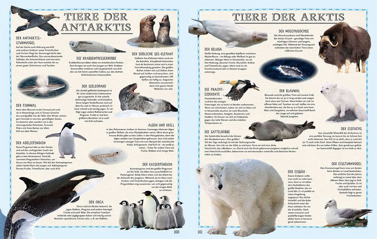 Produktbild: Der Weltatlas