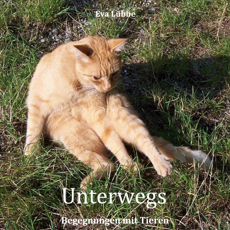 Produktbild: Unterwegs