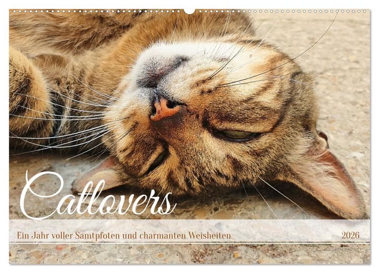 Produktbild: Catlovers - Ein Jahr voller Samtpfoten und charmanten Weisheiten (Wandkalender 2026 DIN A2 quer), CALVENDO Monatskalender