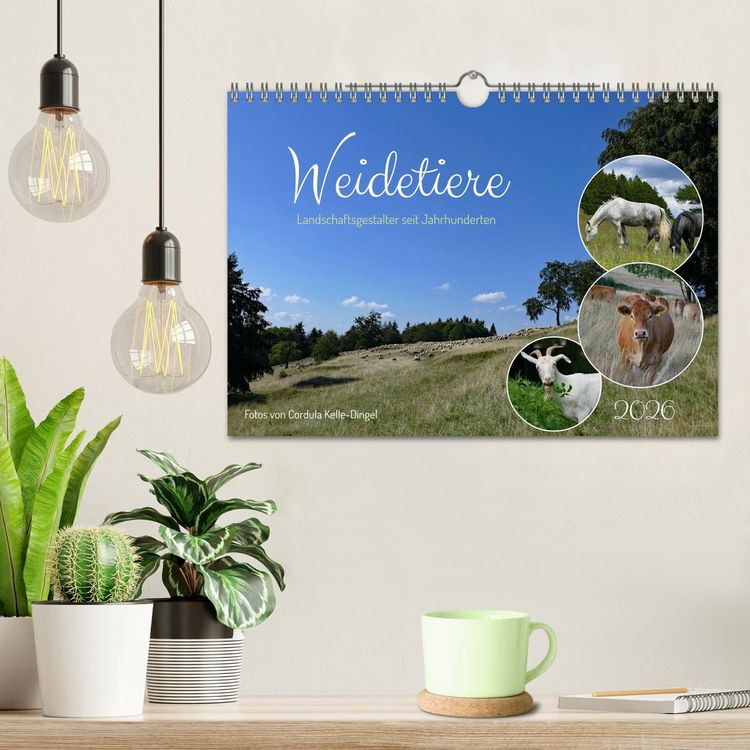 Produktbild: Weidetiere - Landschaftsgestalter seit Jahrhunderten (Wandkalender 2026 DIN A4 quer), CALVENDO Monatskalender