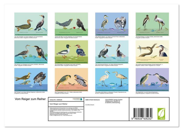 Produktbild: Vom Reiger zum Reiher (Wandkalender 2026 DIN A4 quer), CALVENDO Monatskalender