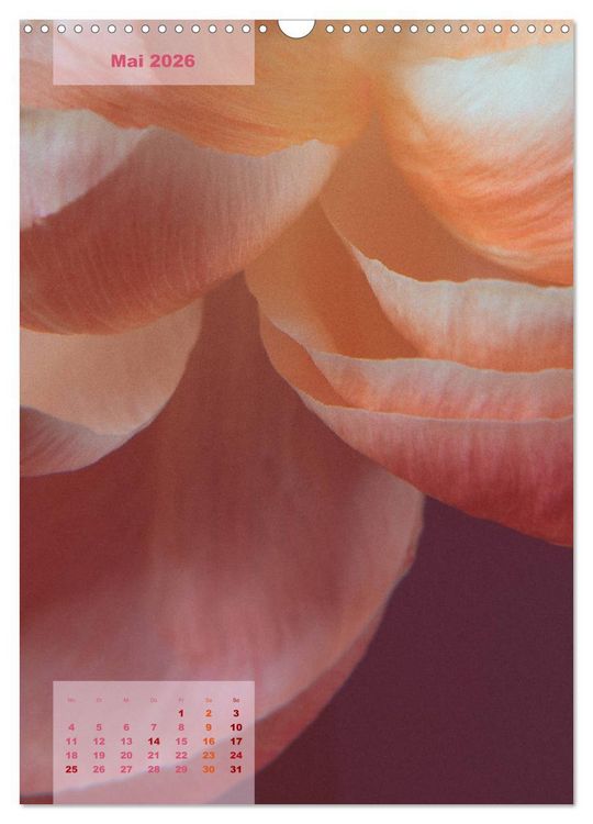 Produktbild: Die K&ouml;nigin der Rosen (Wandkalender 2026 DIN A3 hoch), CALVENDO Monatskalender