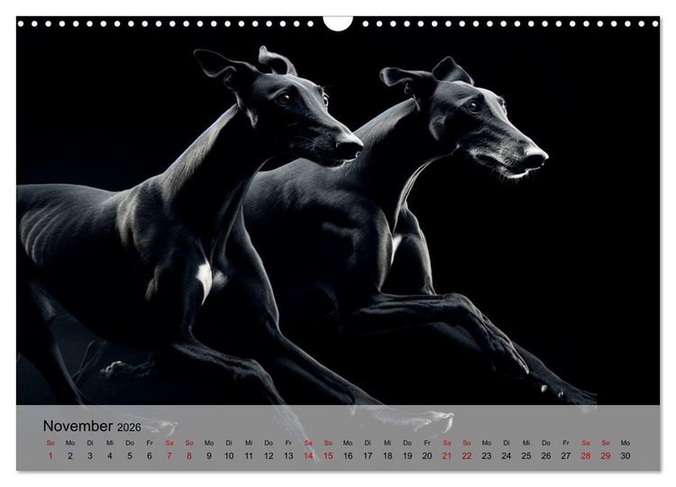 Produktbild: Black is beautiful (Wandkalender 2026 DIN A3 quer), CALVENDO Monatskalender