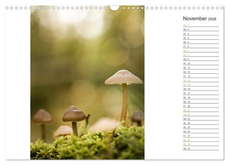 Produktbild: Kleine Wunder vor der Haust&uuml;r (Wandkalender 2026 DIN A3 quer), CALVENDO Monatskalender