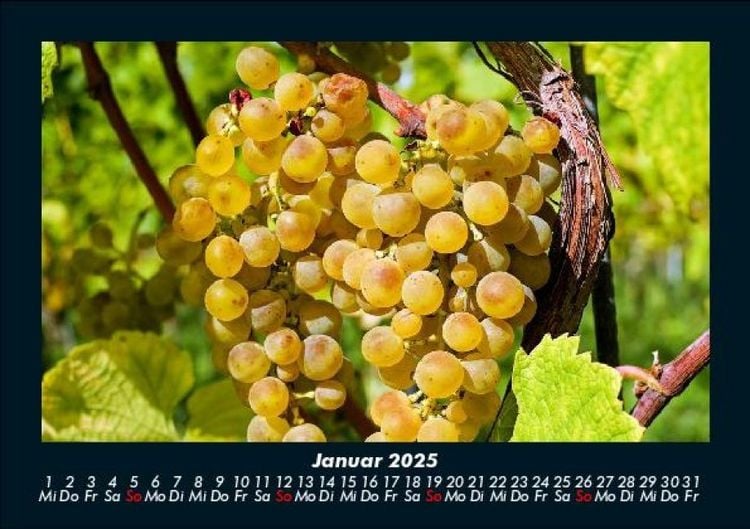 Produktbild: Obstkalender 2025 Fotokalender DIN A5