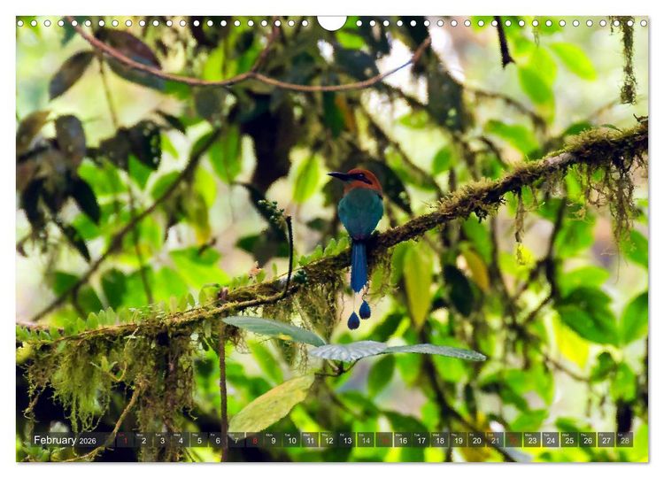 Produktbild: Amazing Costa Rica (Wall Calendar 2026 DIN A3 landscape), CALVENDO 12 Month Wall Calendar
