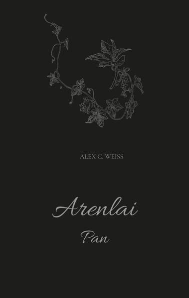 Produktbild: Arenlai, Fantasyroman