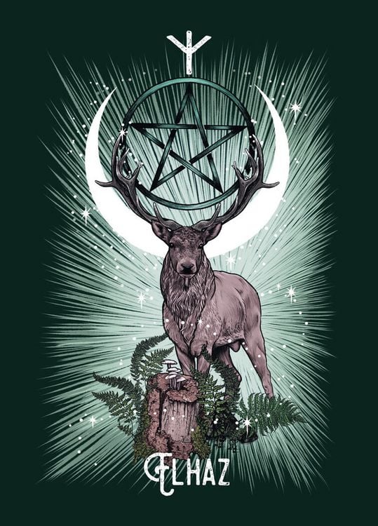 Produktbild: Das Krafttiere Runen Orakel