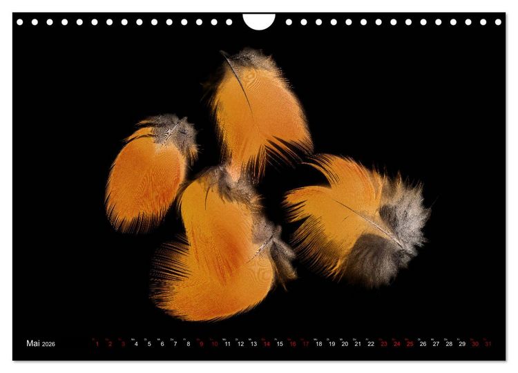 Produktbild: Federleichte Momente (Wandkalender 2026 DIN A4 quer), CALVENDO Monatskalender