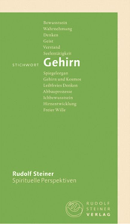 Produktbild: Stichwort Gehirn