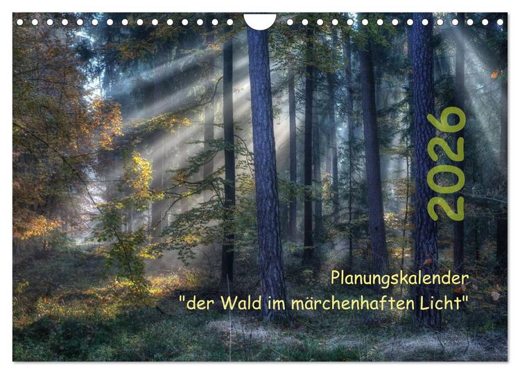 Produktbild: Planungskalender M&auml;rchenwald 2026 (Wandkalender 2026 DIN A4 quer), CALVENDO Monatskalender