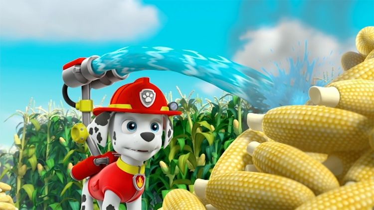 Produktbild: Paw Patrol - Auf Rettungsmission