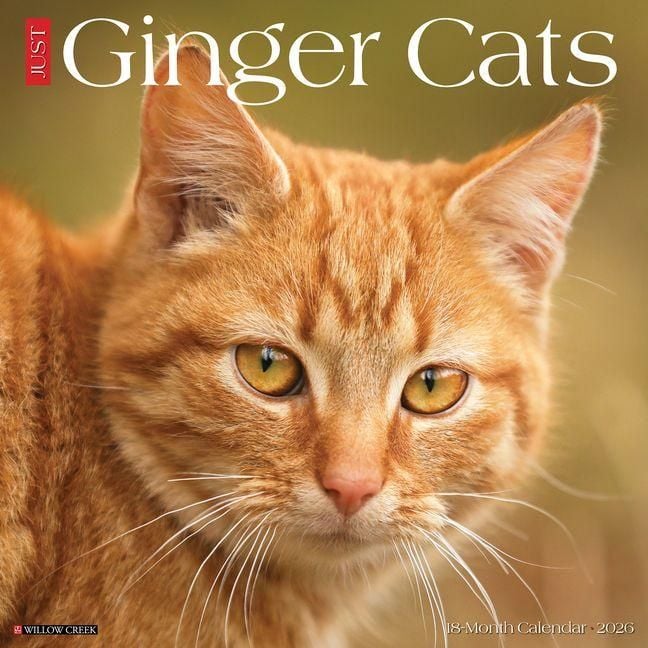Produktbild: Ginger Cats 2026 Wall Calendar
