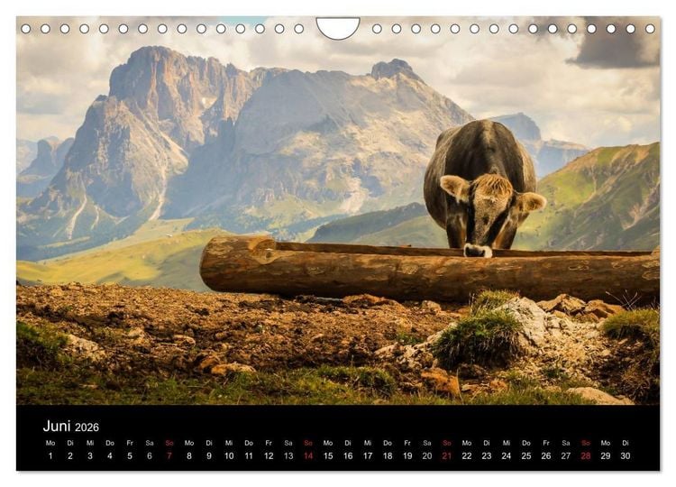 Produktbild: Bergpixel "H&ouml;henrausch und Leidenschaft" (Wandkalender 2026 DIN A4 quer), CALVENDO Monatskalender