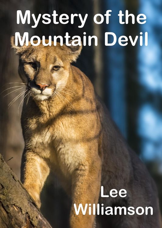 Produktbild: Mystery of the Mountain Devil