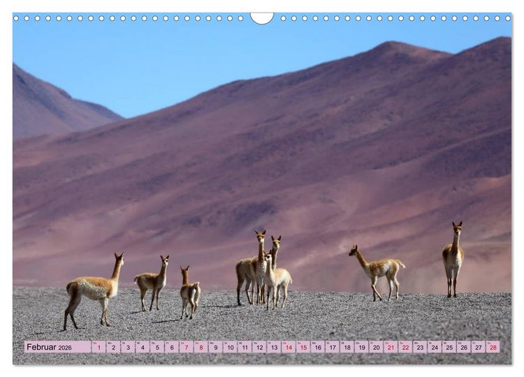 Produktbild: ATACAMA Wunder der Natur (Wandkalender 2026 DIN A3 quer), CALVENDO Monatskalender