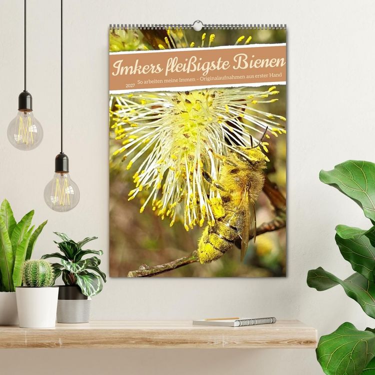 Produktbild: Imkers flei&szlig;igste Bienen - So arbeiten meine Immen &ndash; Originalaufnahmen aus erster Hand (Wandkalender 2027 DIN A2 hoch), CALVENDO Monatskalender