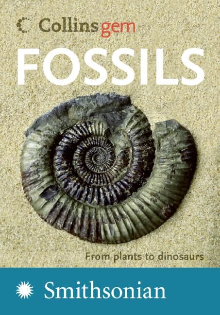Produktbild: Fossils: From Plants to Dinosaurs
