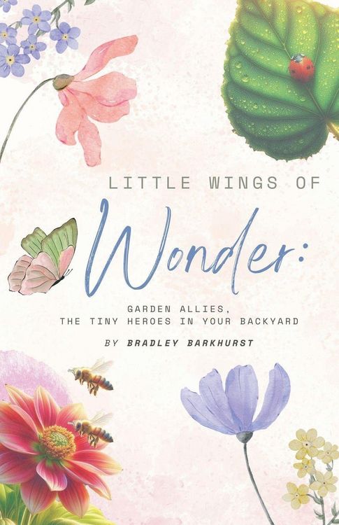Produktbild: Little Wings of Wonder