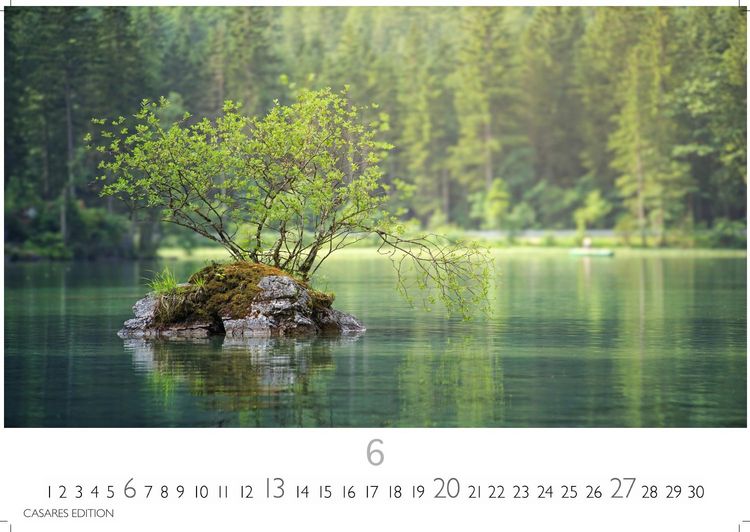 Produktbild: Wald & Natur Kalender 2027 &ndash; Wandkalender | Fotokalender Naturkalender Gro&szlig;format 35x50cm - Nat&uuml;rliche Sch&ouml;nheit & Ruhe f&uuml;r jeden Monat .