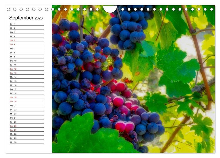 Produktbild: Piemont und Turin (Wandkalender 2026 DIN A4 quer), CALVENDO Monatskalender