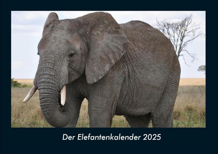 Produktbild: Der Elefantenkalender 2025 Fotokalender DIN A4