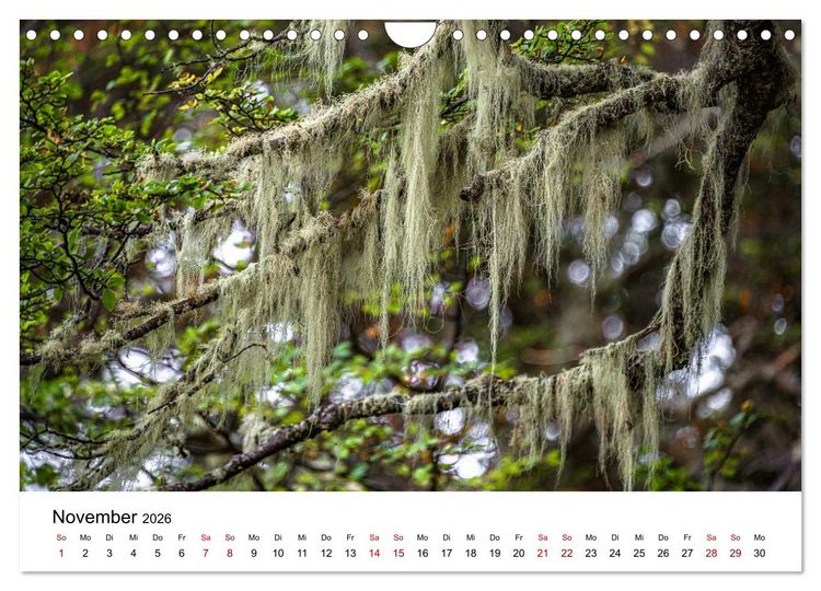 Produktbild: Patagonien, Tierra del Fuego: Am Rand der Welt (Wandkalender 2026 DIN A4 quer), CALVENDO Monatskalender