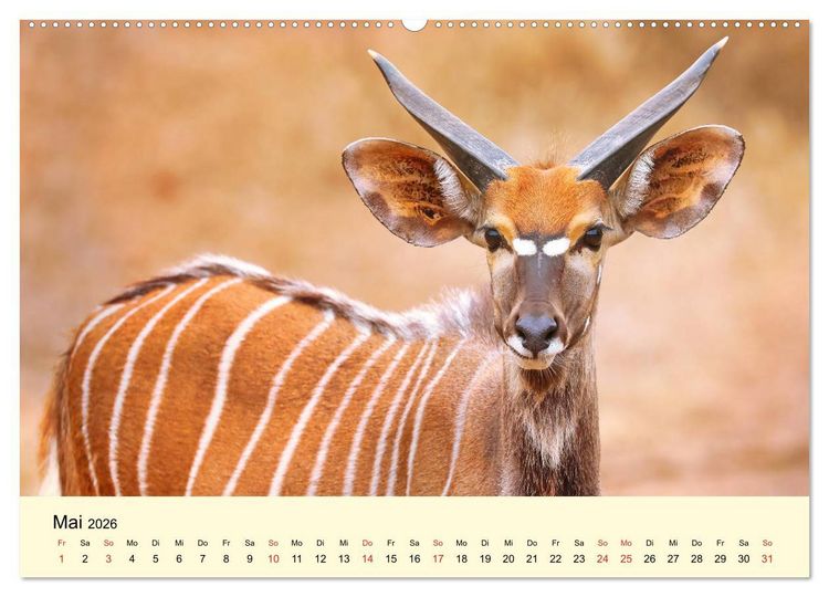 Produktbild: Traumhaftes Malawi (Wandkalender 2026 DIN A2 quer), CALVENDO Monatskalender