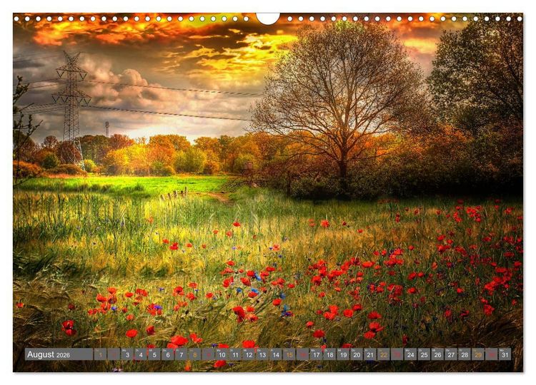 Produktbild: Friesland, verzauberte Landschaft an der Nordsee (Wandkalender 2026 DIN A3 quer), CALVENDO Monatskalender