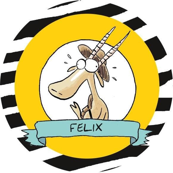 Produktbild: Raufen mit den R&ouml;mern / Julius Zebra Band 1