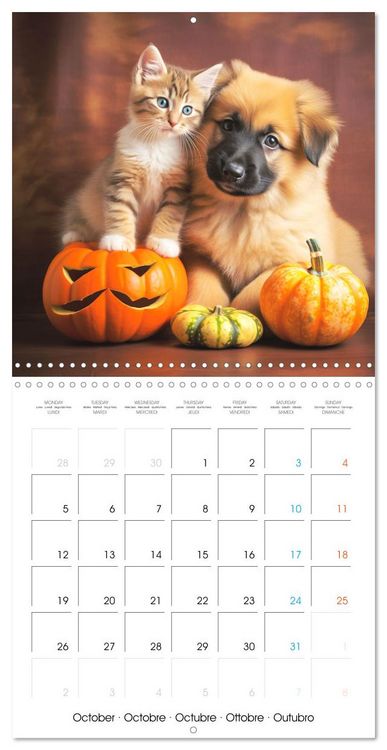Produktbild: Mignon duo (Calendrier mural carr&eacute; 2026 30x30 cm) Calendrier double avec une page pour vos prises de notes