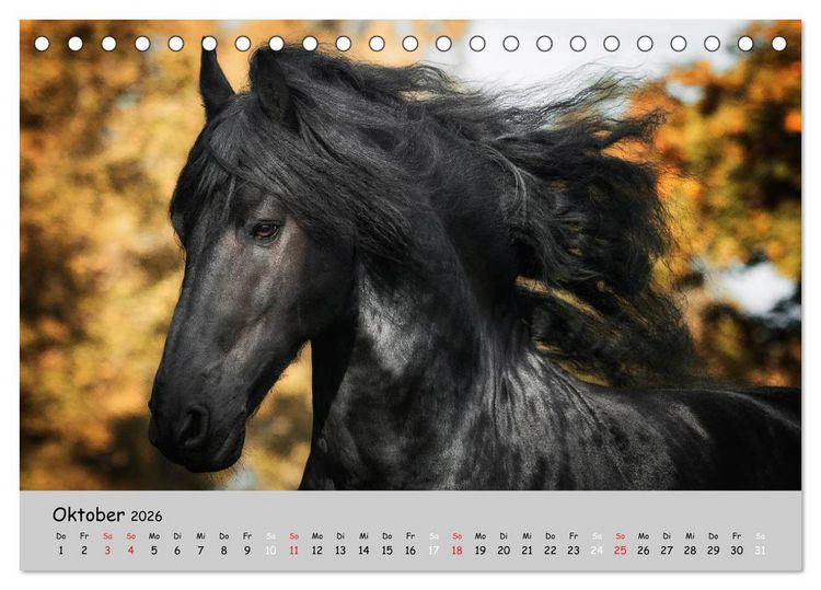 Produktbild: Pferde - Anmut und St&auml;rke gepaart mit Magie (Tischkalender 2026 DIN A5 quer), CALVENDO Monatskalender