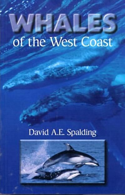 Produktbild: Whales of the West Coast