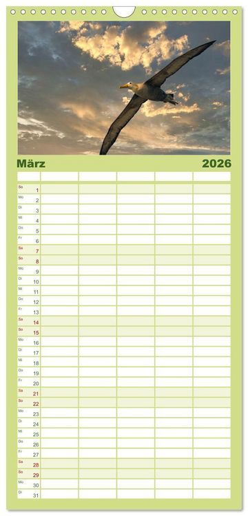 Produktbild: Familienplaner 2026 - Die faszinierende Tierwelt der Galapagos-Inseln mit 5 Spalten (Wandkalender, 21 x 45 cm) CALVENDO