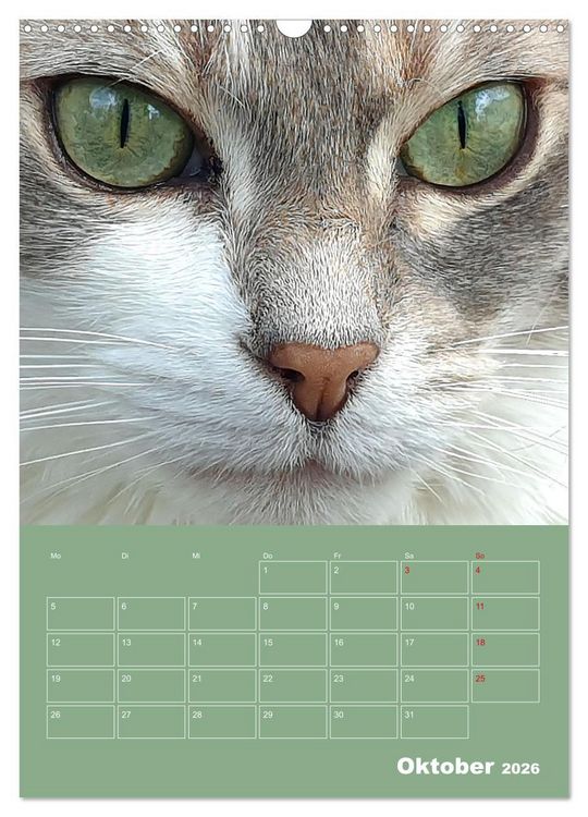 Produktbild: Cat Faces - Charakterstarke Katzengesichter ganz nah (Wandkalender 2026 DIN A3 hoch), CALVENDO Monatskalender