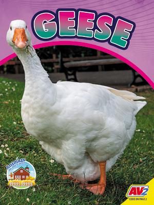 Produktbild: Geese