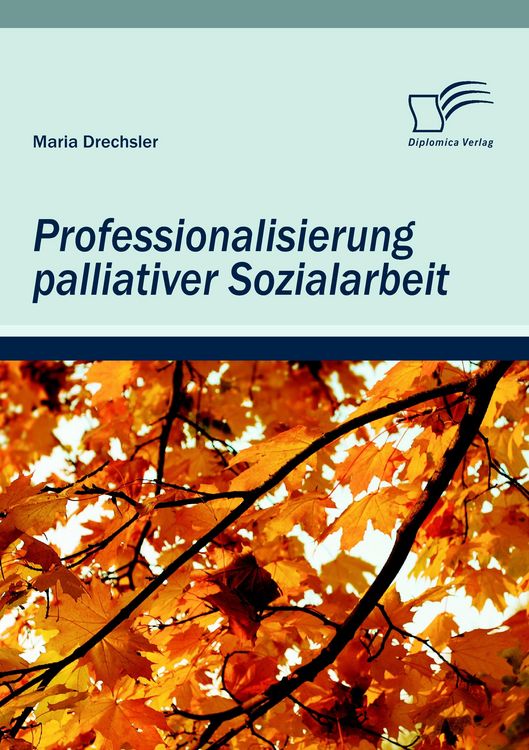 Produktbild: Professionalisierung palliativer Sozialarbeit