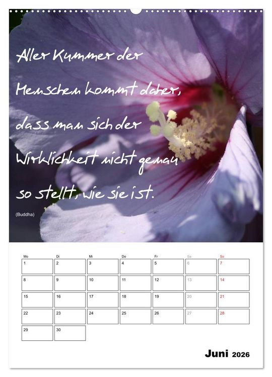Produktbild: Spr&uuml;che und Weisheiten f&uuml;r&acute; s Jahr (Wandkalender 2026 DIN A2 hoch), CALVENDO Monatskalender
