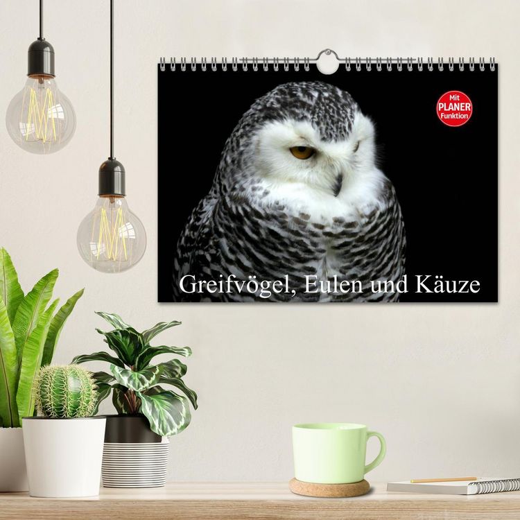 Produktbild: Greifv&ouml;gel, Eulen und K&auml;uze (Wandkalender 2026 DIN A4 quer), CALVENDO Monatskalender