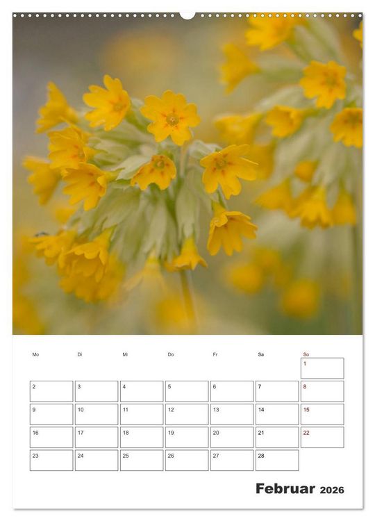 Produktbild: Farbiger Bl&uuml;tentraum (Wandkalender 2026 DIN A2 hoch), CALVENDO Monatskalender