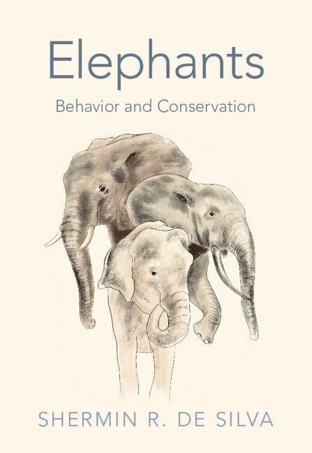 Produktbild: Elephants