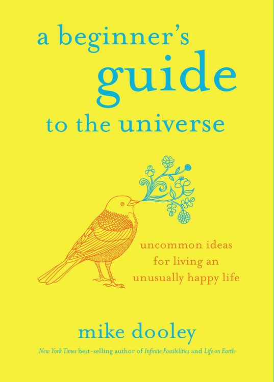 Produktbild: A Beginner's Guide to the Universe