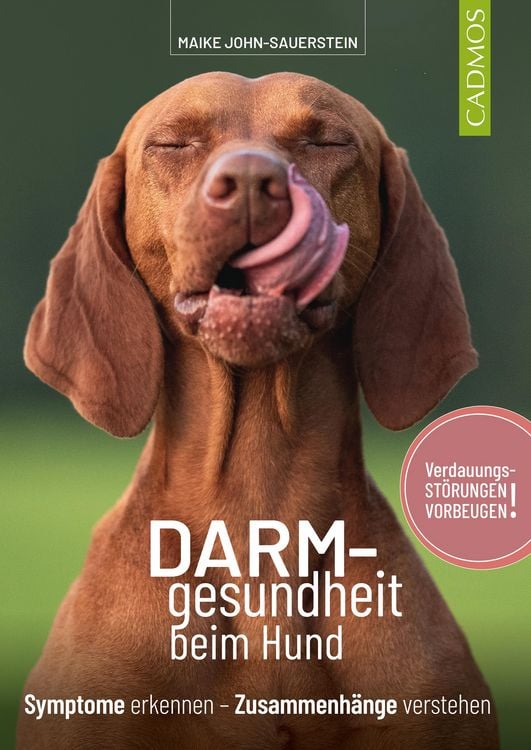 Produktbild: Darmgesundheit beim Hund