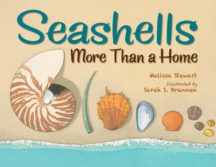 Produktbild: Seashells